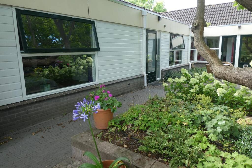 Huis Bij De Catalpa Dordrecht Exteriör bild